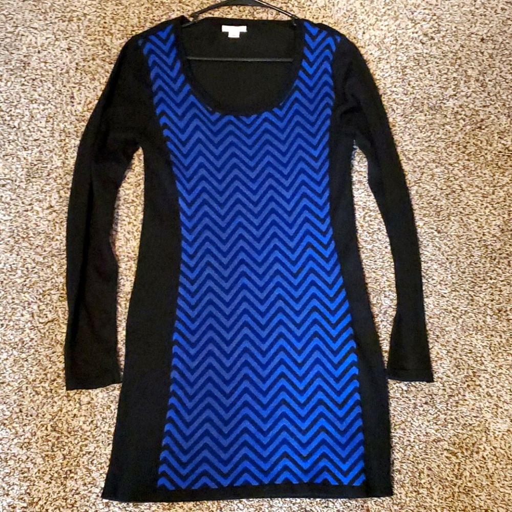 Sweater Dress or Long Sweater